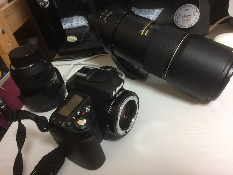 Nikon D90と旧サンヨンの写真